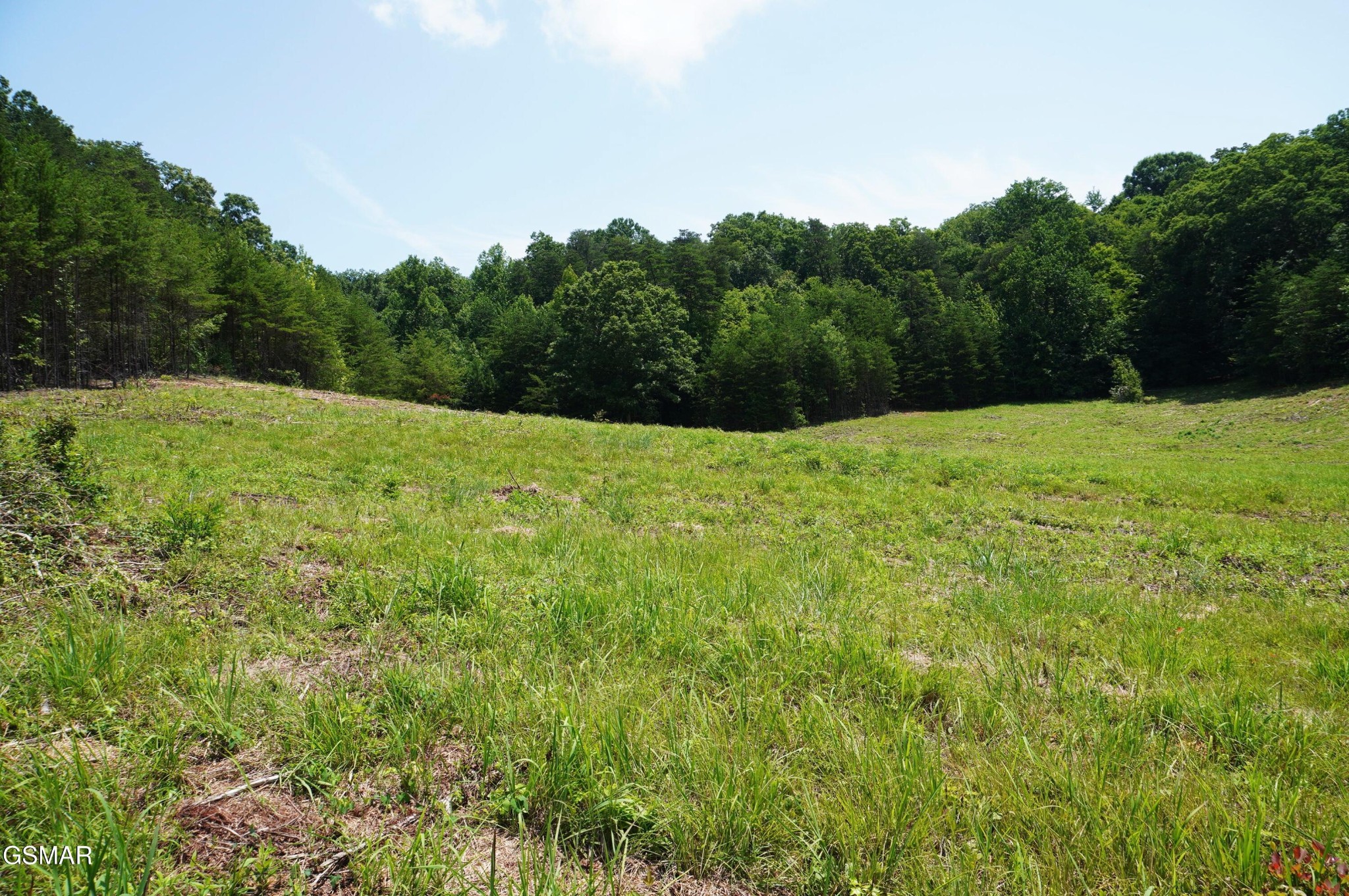 0 Rhyne Camp Road Property Photo 8