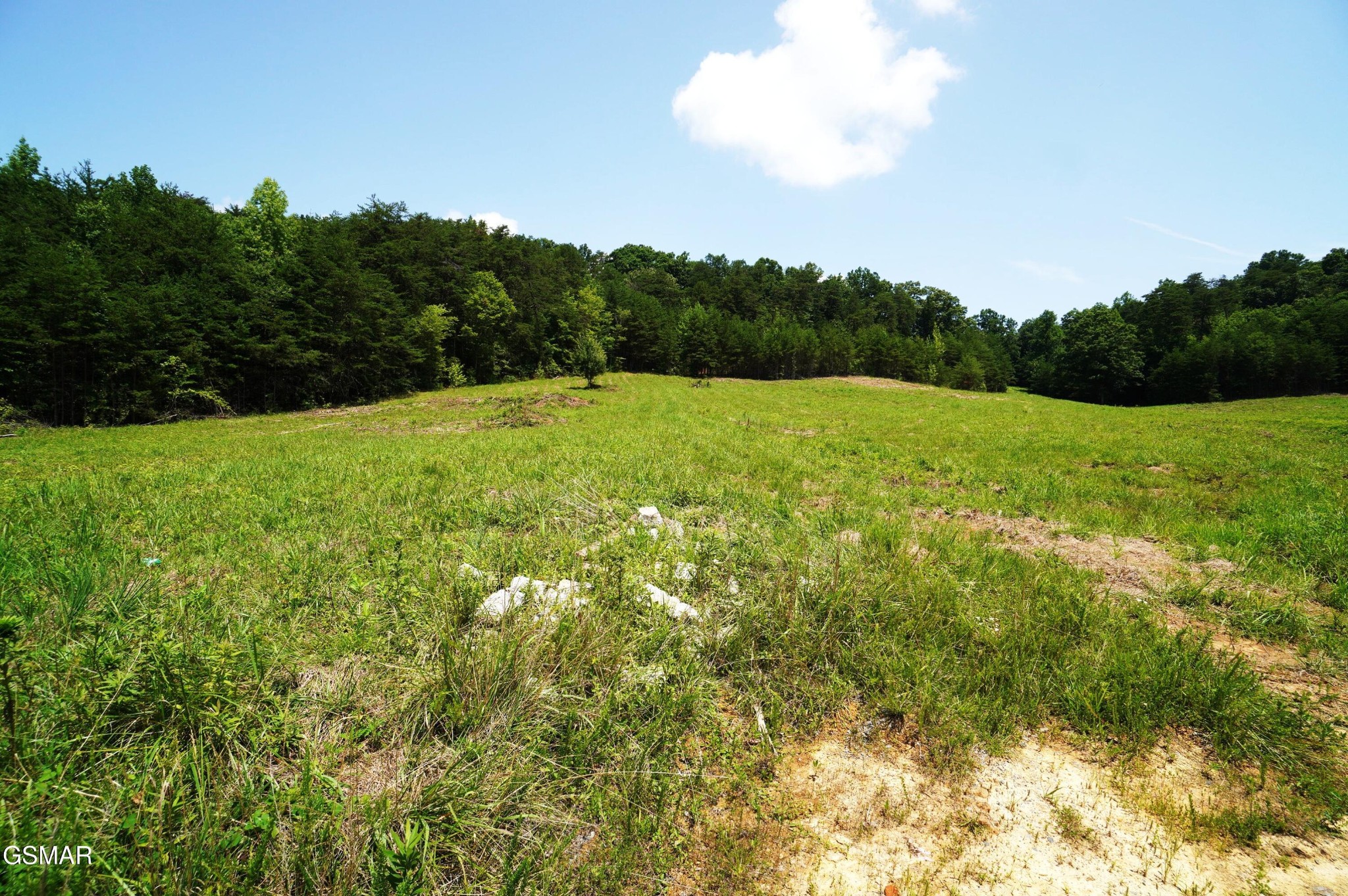 0 Rhyne Camp Road Property Photo 10