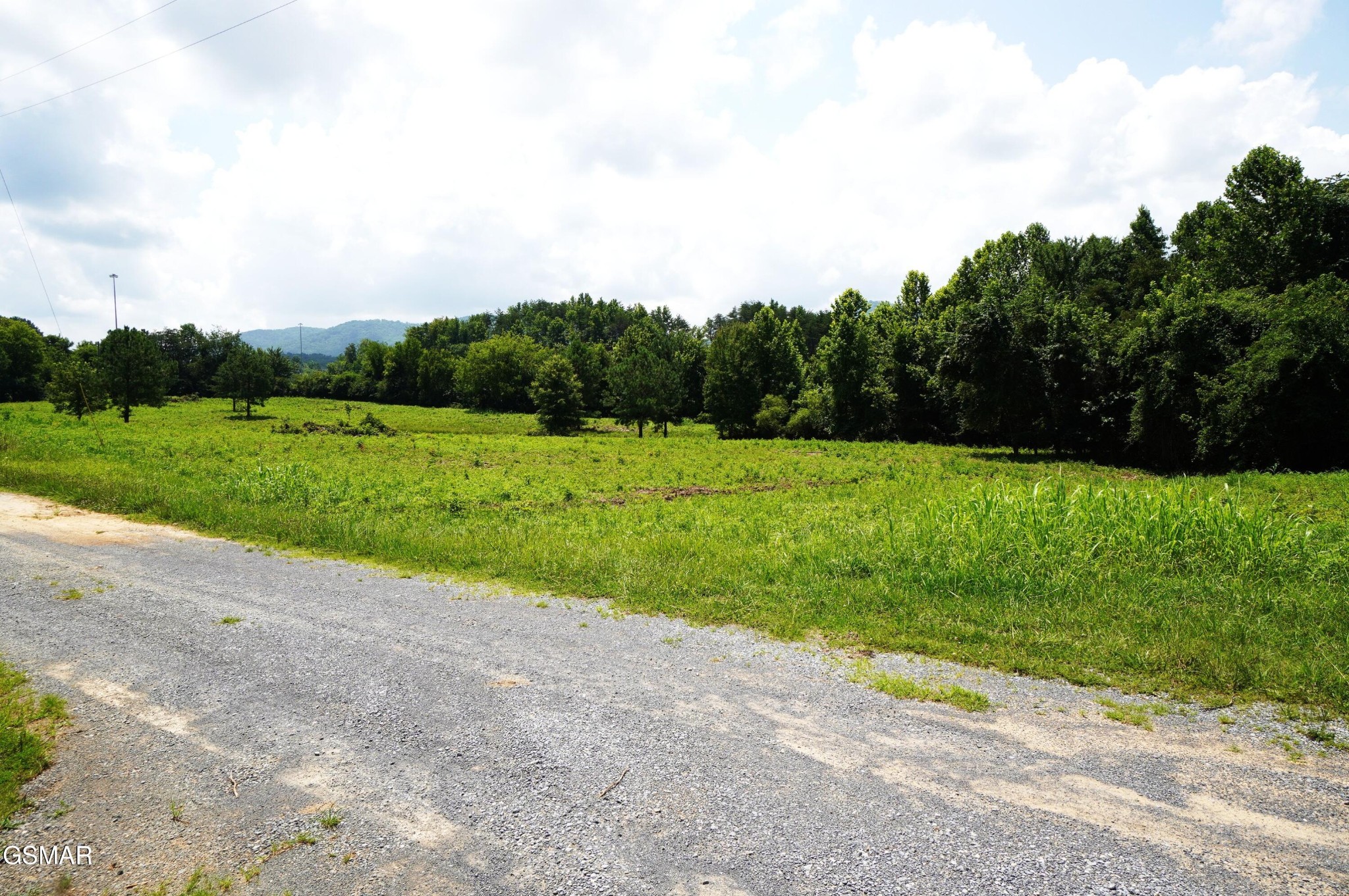 0 Rhyne Camp Road Property Photo 12
