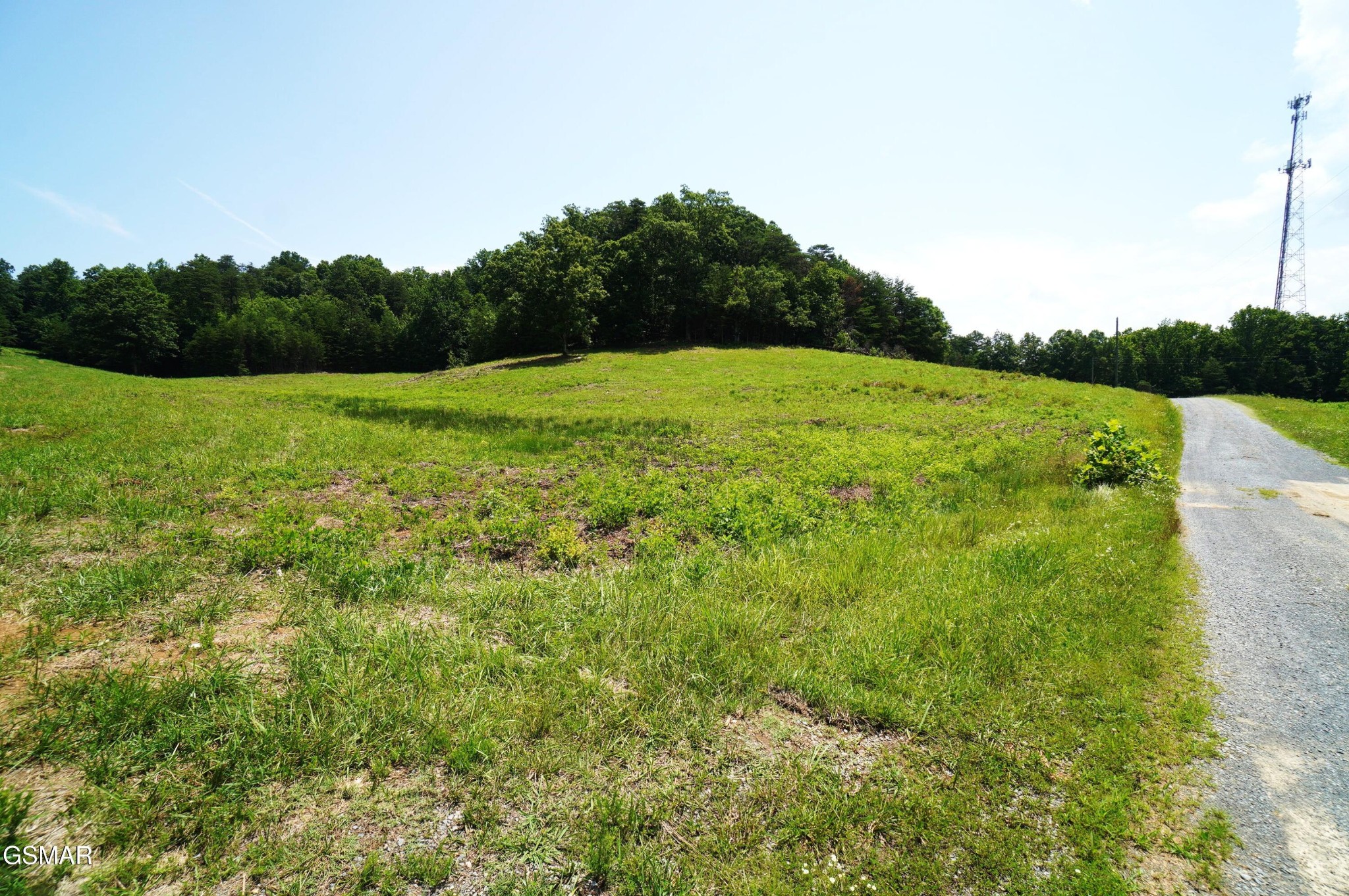 0 Rhyne Camp Road Property Photo 13