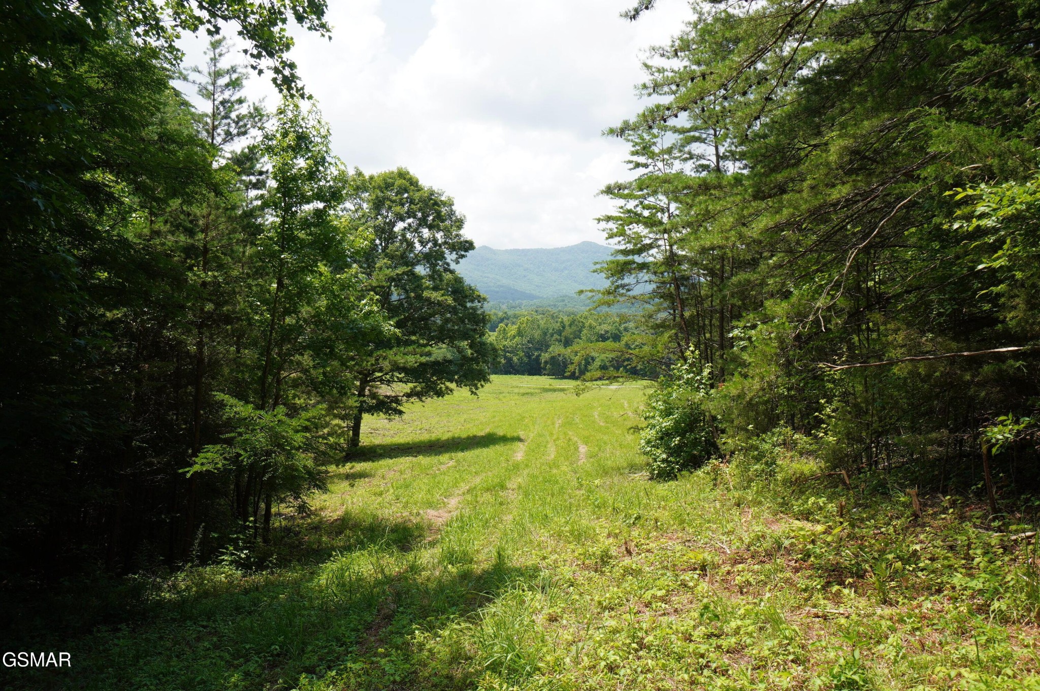 0 Rhyne Camp Road Property Photo 14