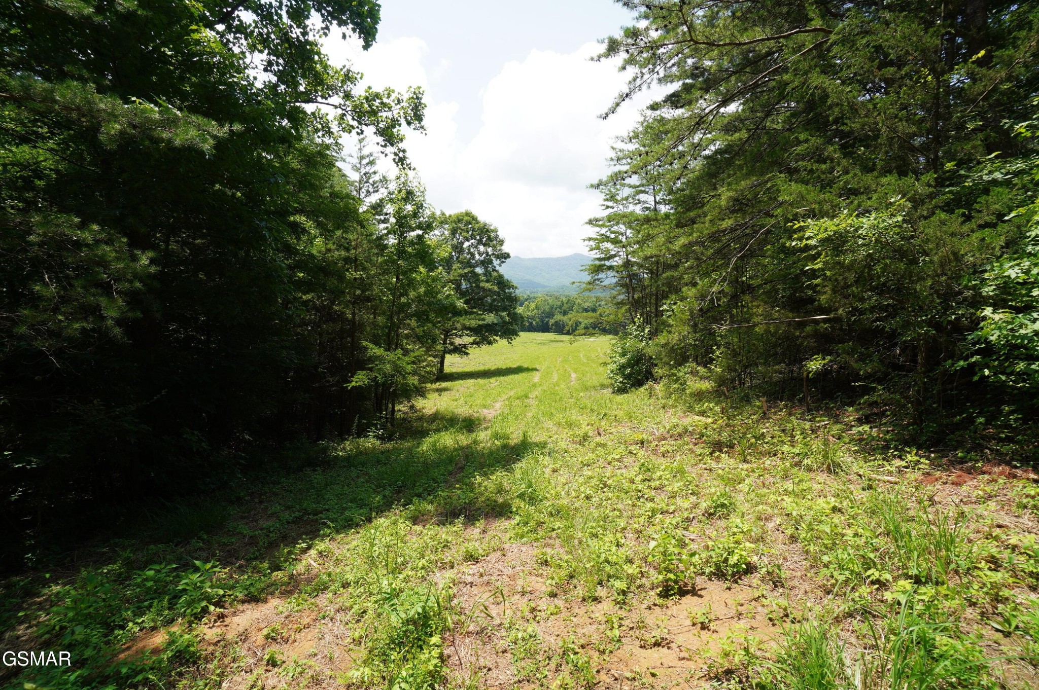 0 Rhyne Camp Road Property Photo 15
