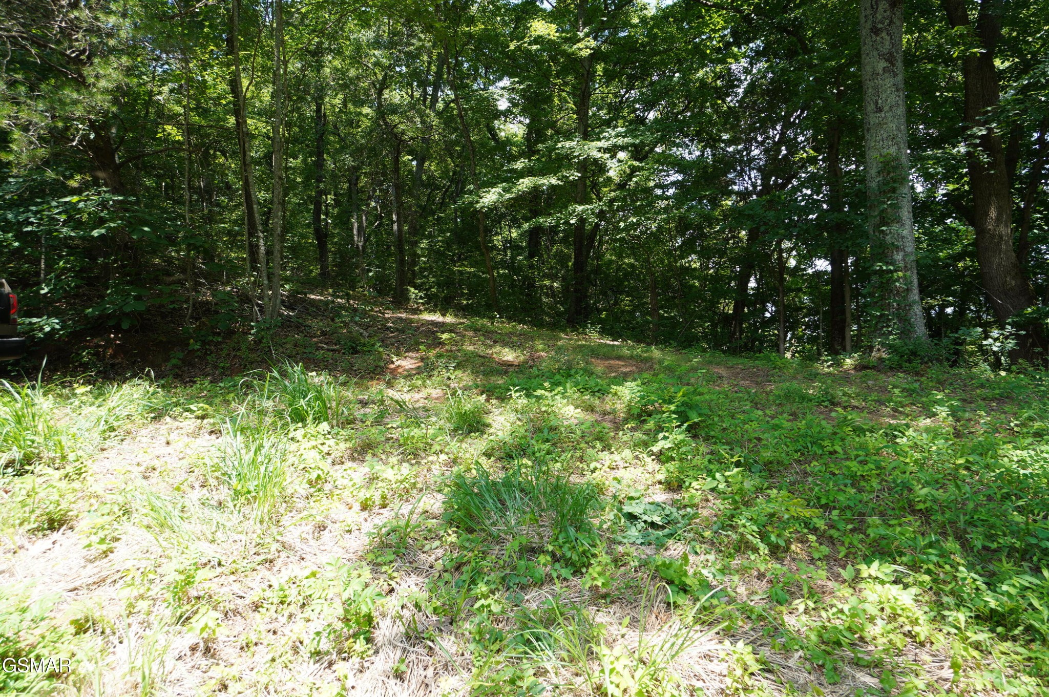 0 Rhyne Camp Road Property Photo 16