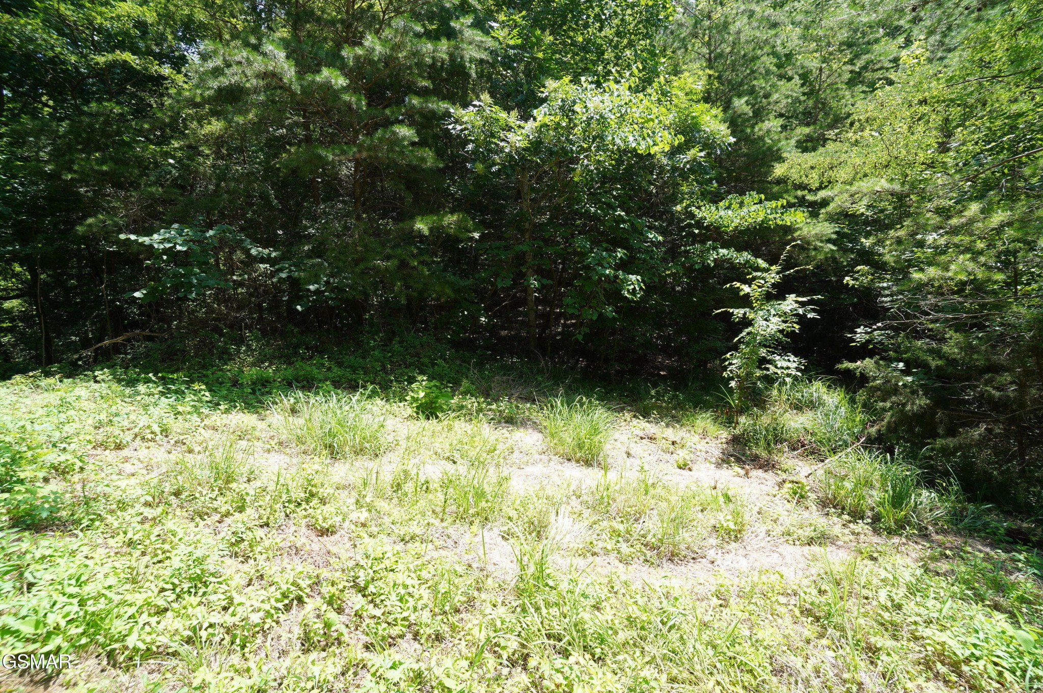 0 Rhyne Camp Road Property Photo 17