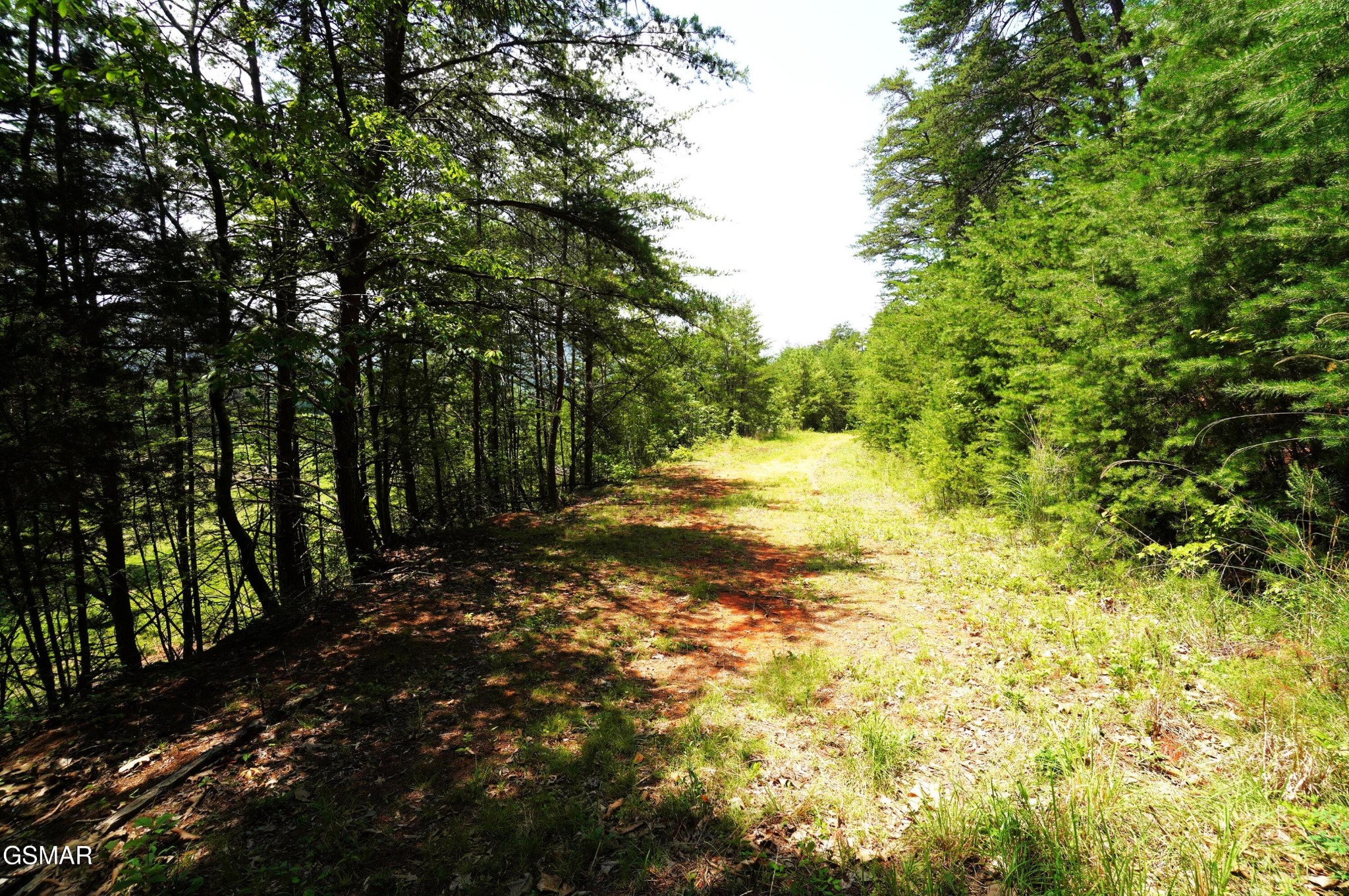0 Rhyne Camp Road Property Photo 18