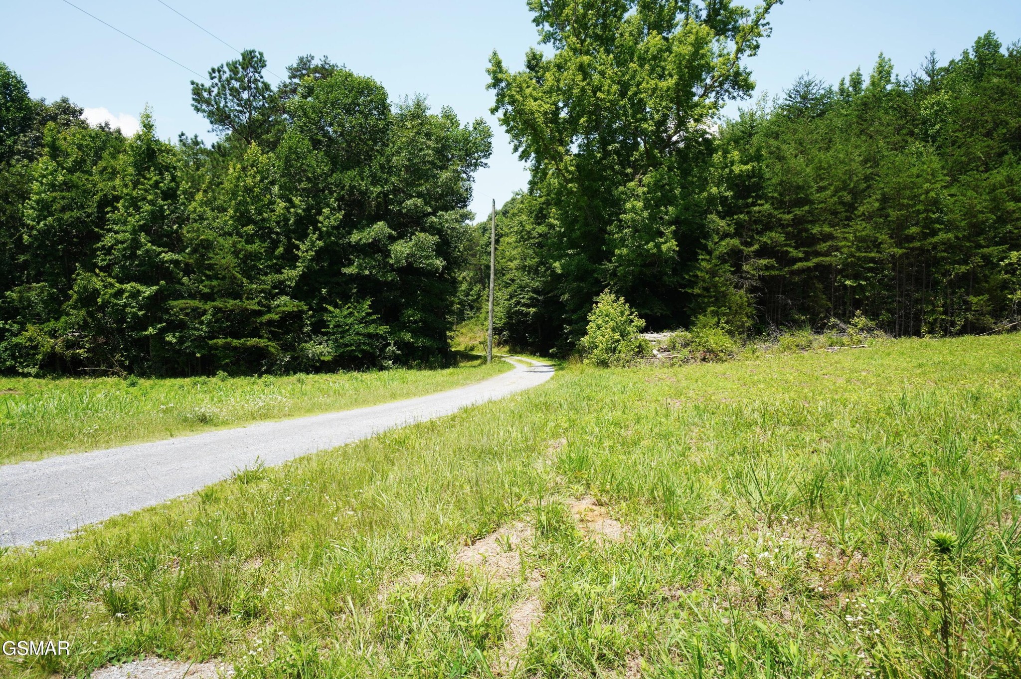 0 Rhyne Camp Road Property Photo 19