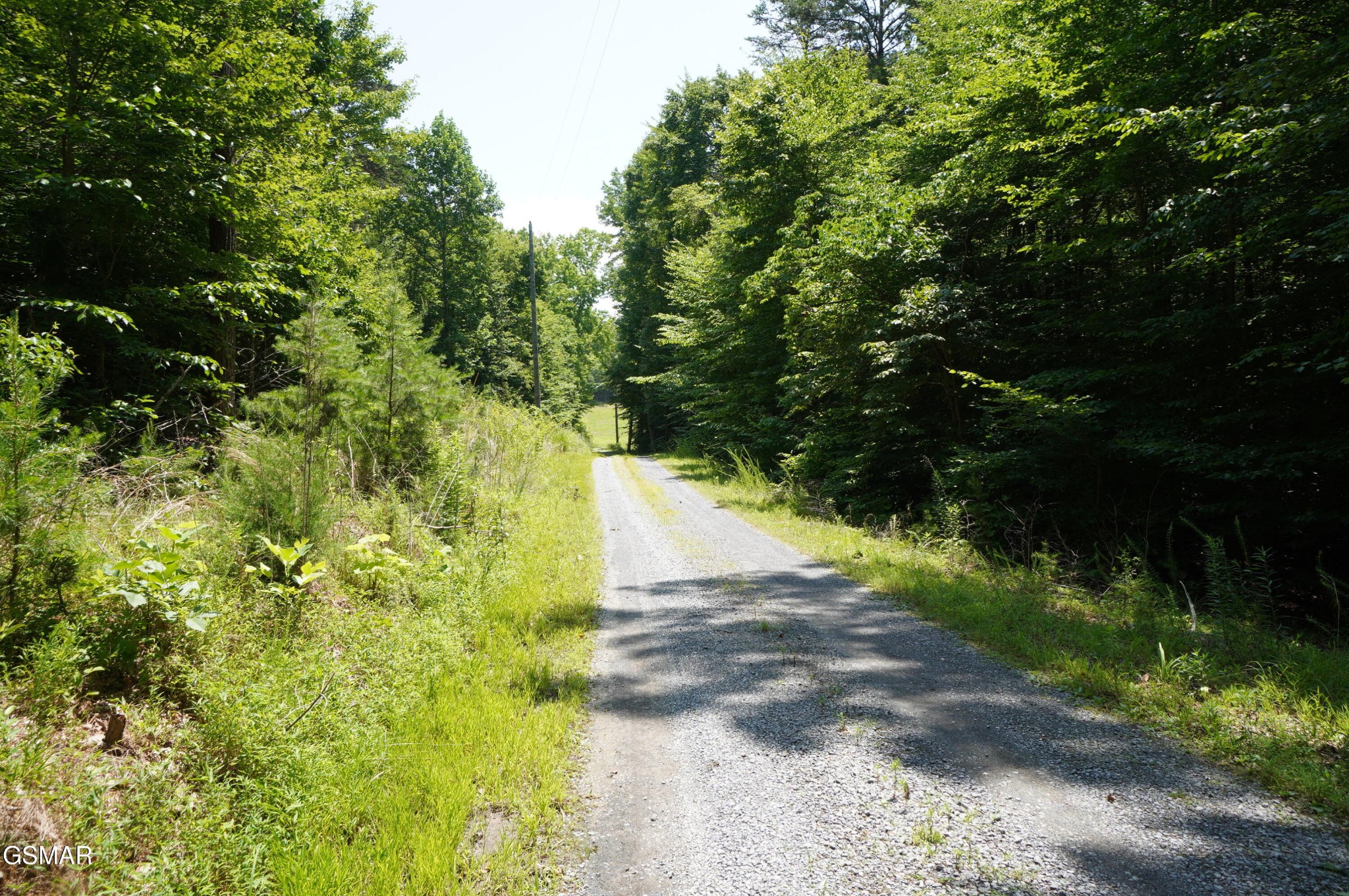 0 Rhyne Camp Road Property Photo 20
