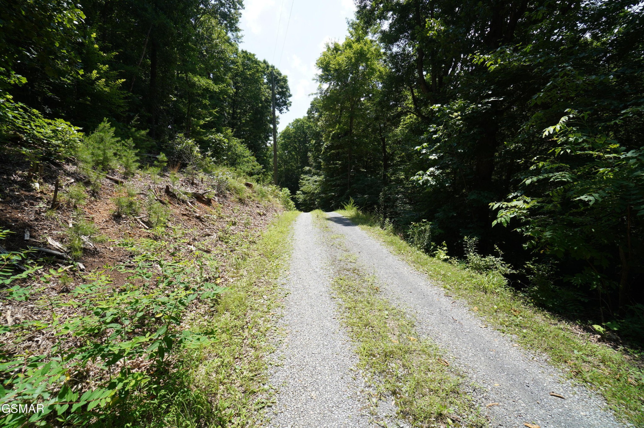 0 Rhyne Camp Road Property Photo 21
