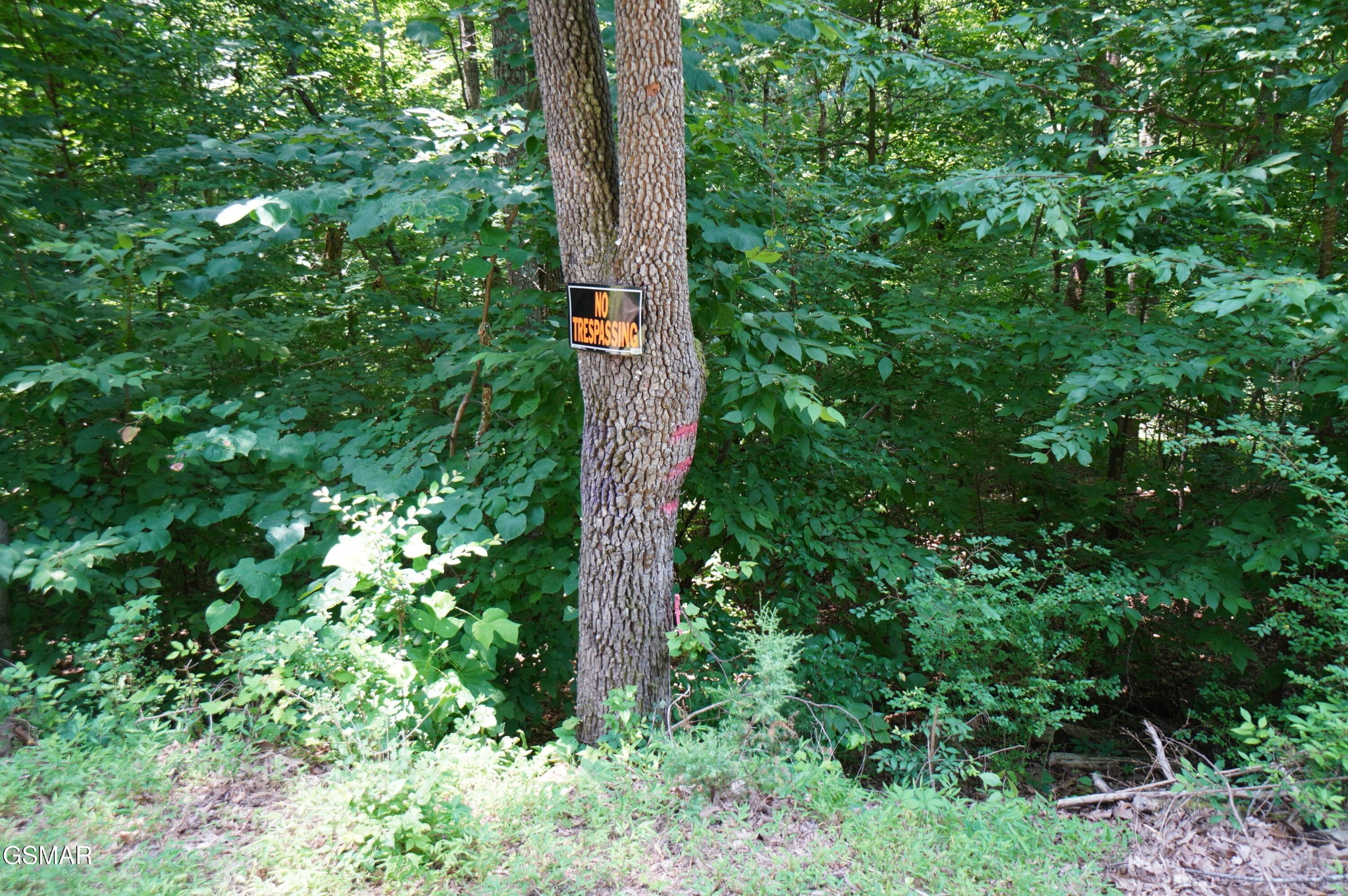 0 Rhyne Camp Road Property Photo 22