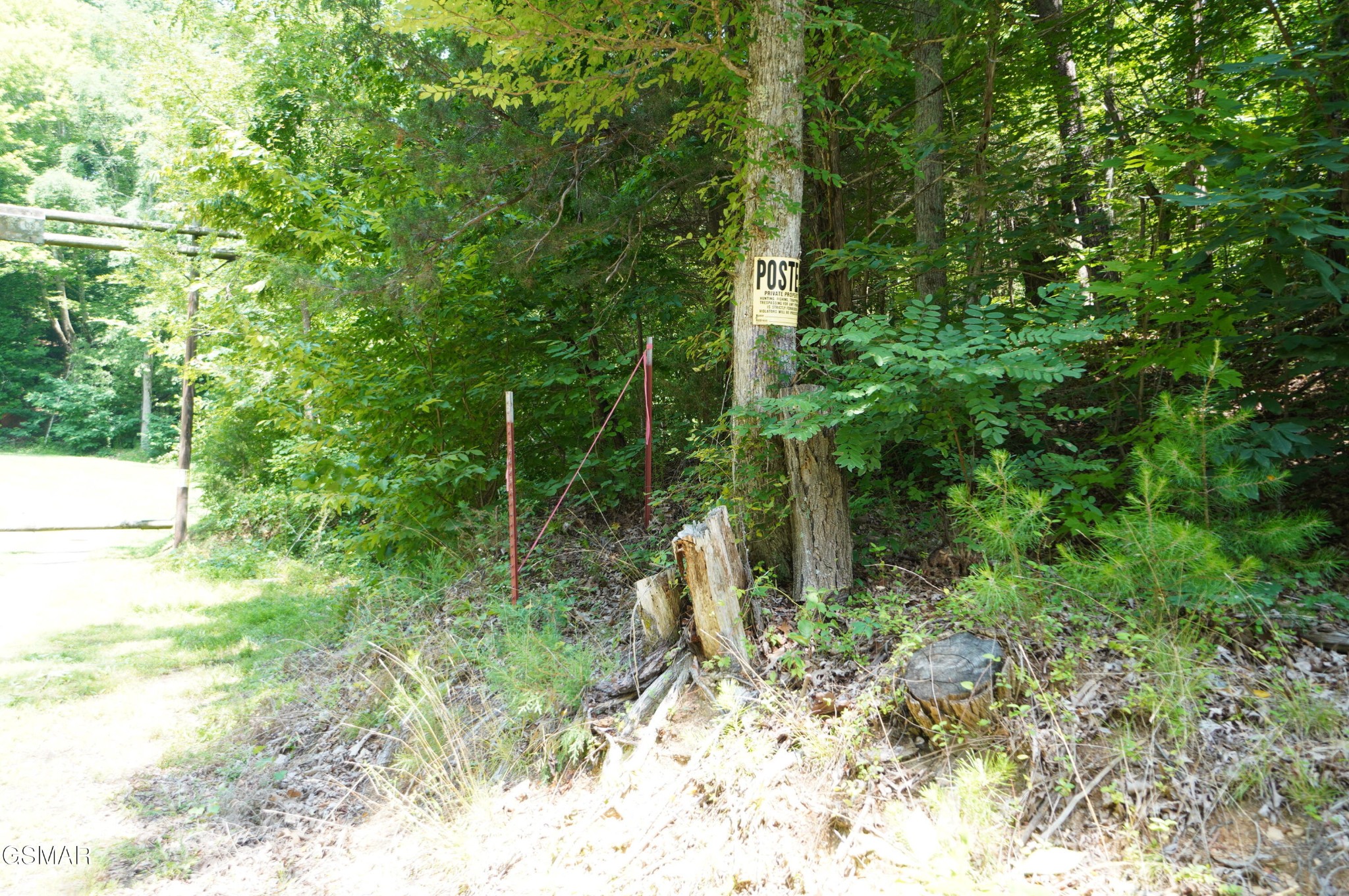 0 Rhyne Camp Road Property Photo 23