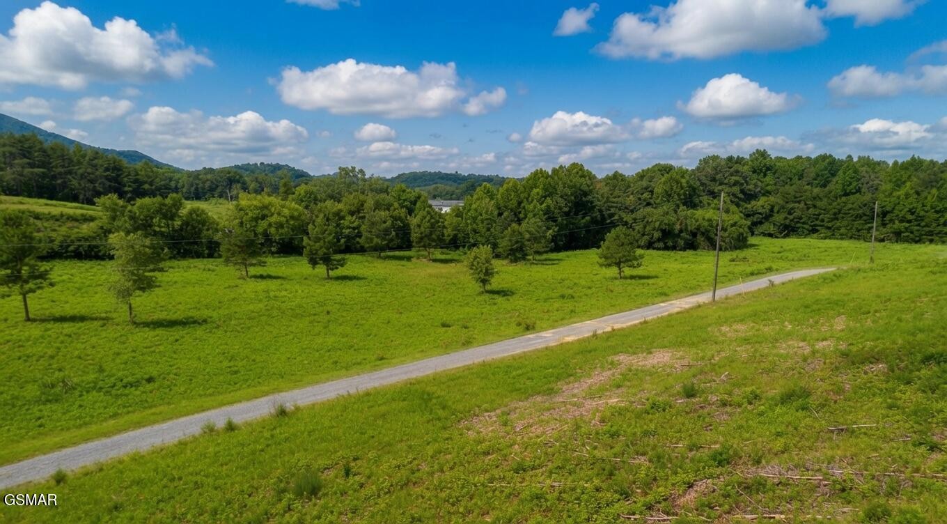 0 Rhyne Camp Road Property Photo 25