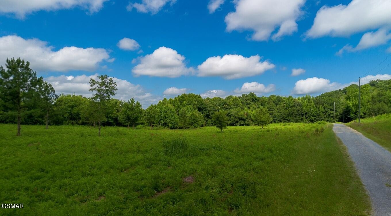 0 Rhyne Camp Road Property Photo 26