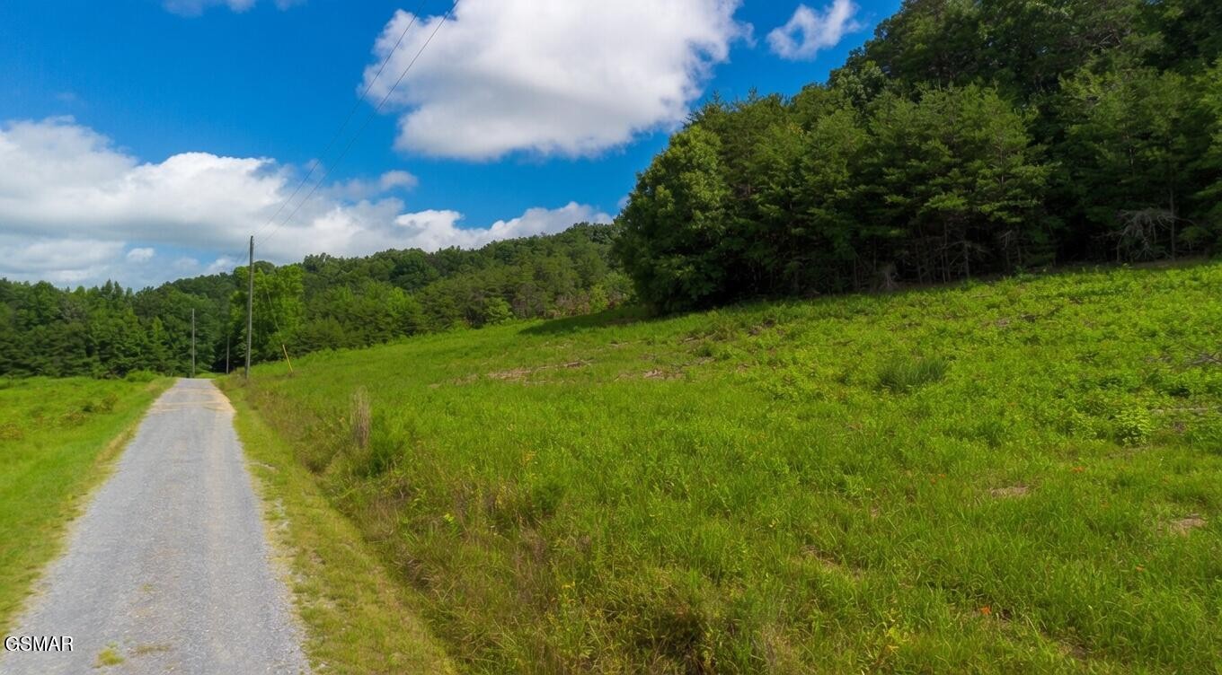 0 Rhyne Camp Road Property Photo 28