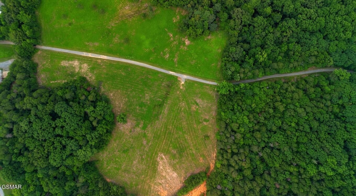 0 Rhyne Camp Road Property Photo 31