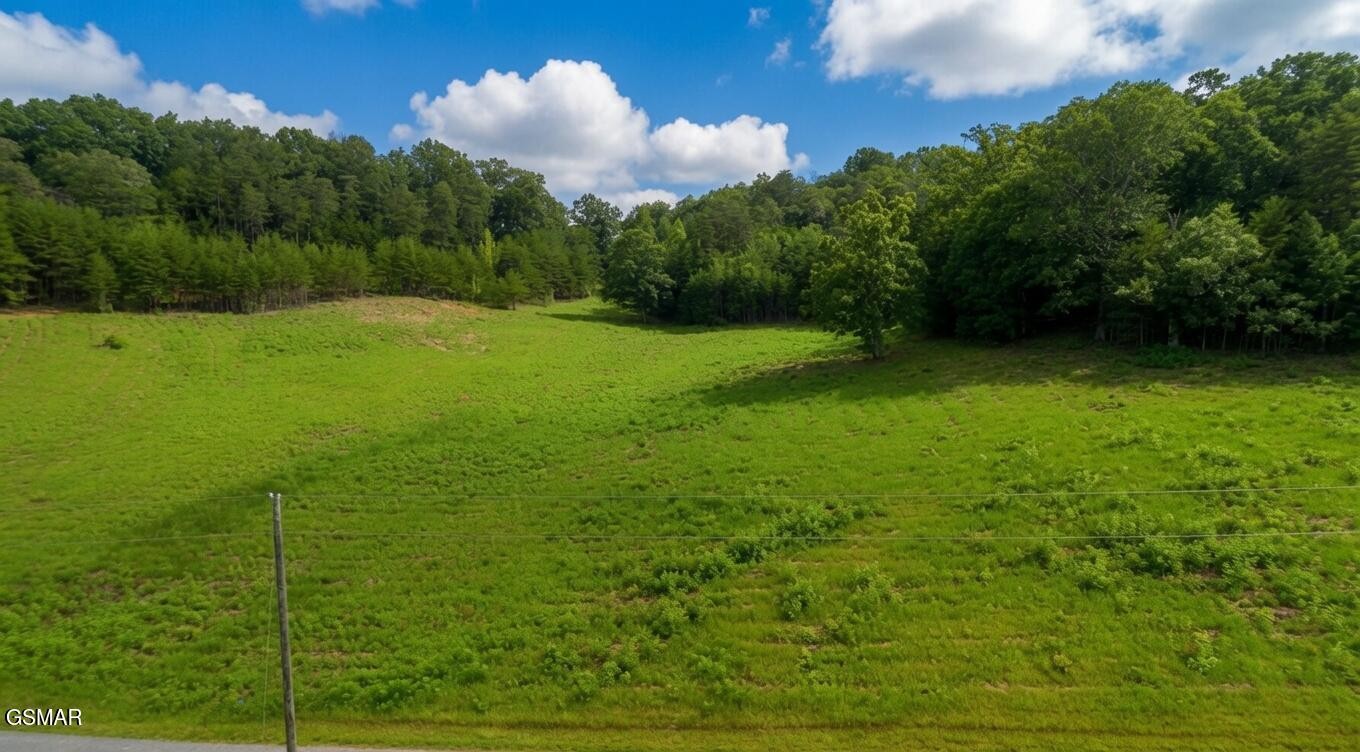0 Rhyne Camp Road Property Photo 33