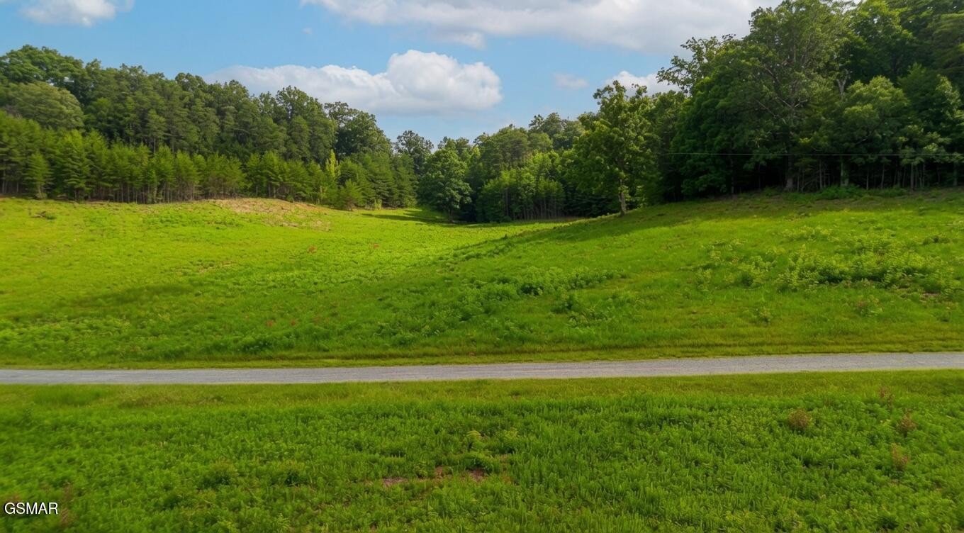 0 Rhyne Camp Road Property Photo 34