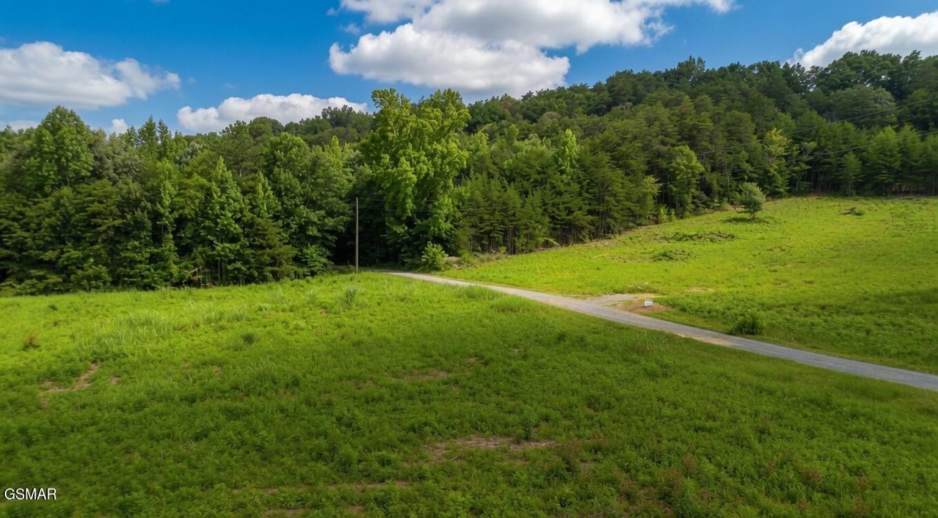 0 Rhyne Camp Road Property Photo 35