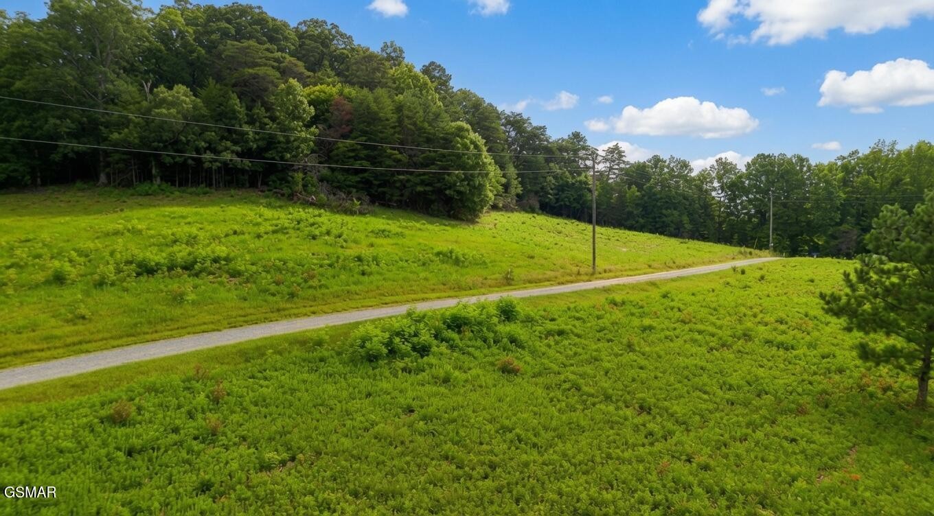 0 Rhyne Camp Road Property Photo 37