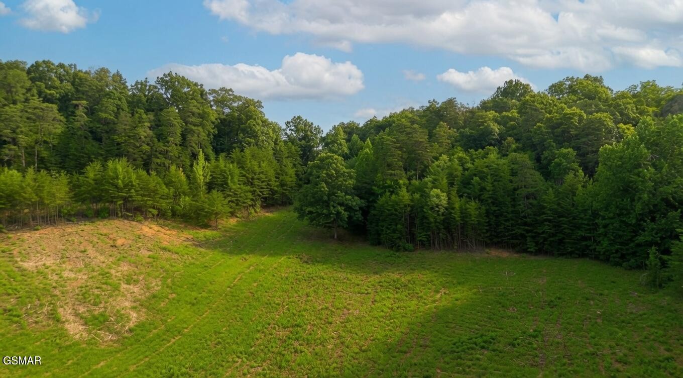 0 Rhyne Camp Road Property Photo 38