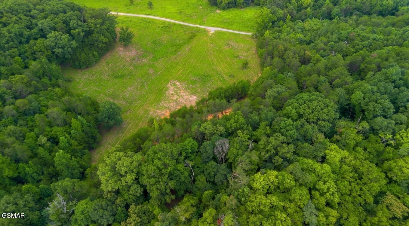 0 Rhyne Camp Road Property Photo 41