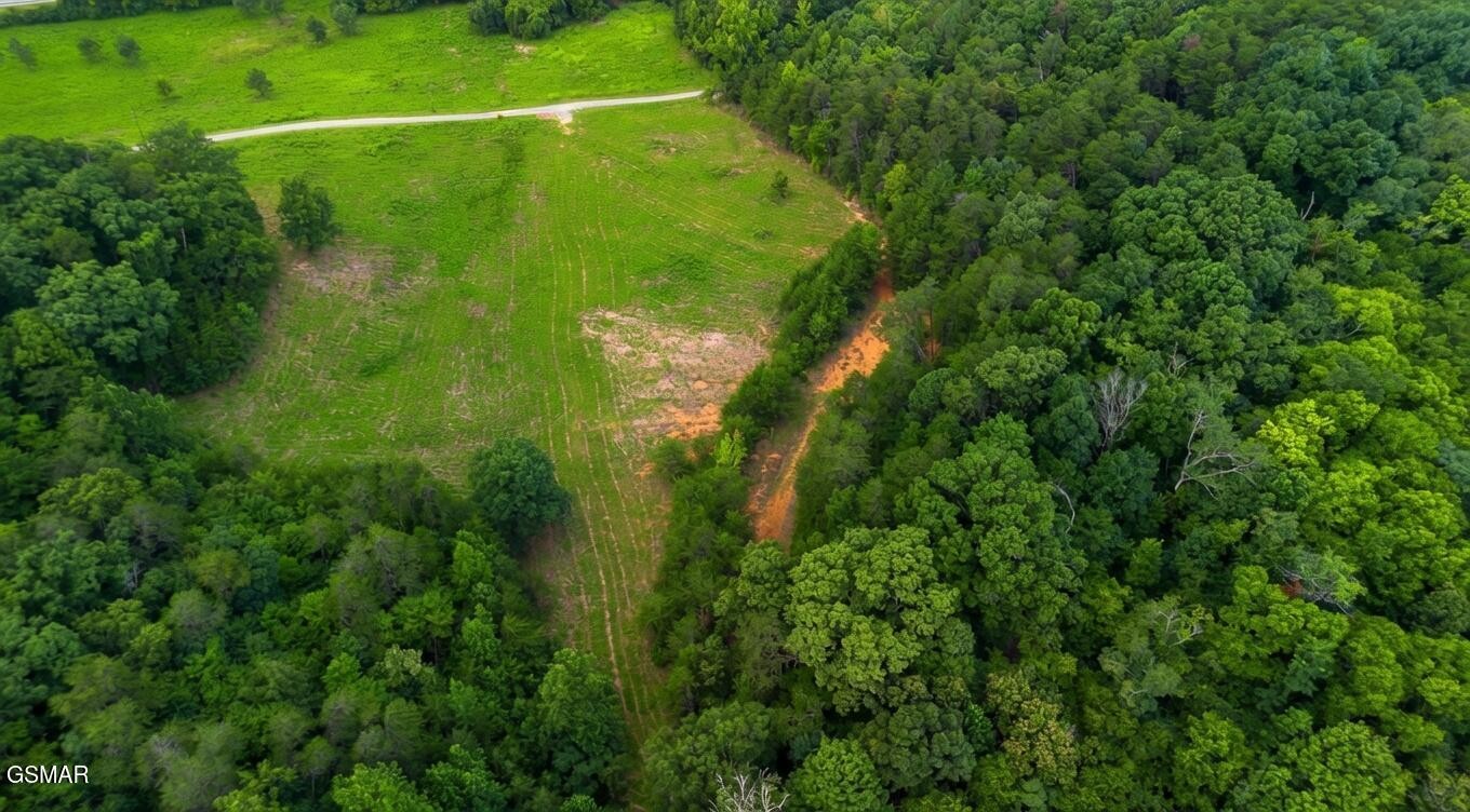 0 Rhyne Camp Road Property Photo 42
