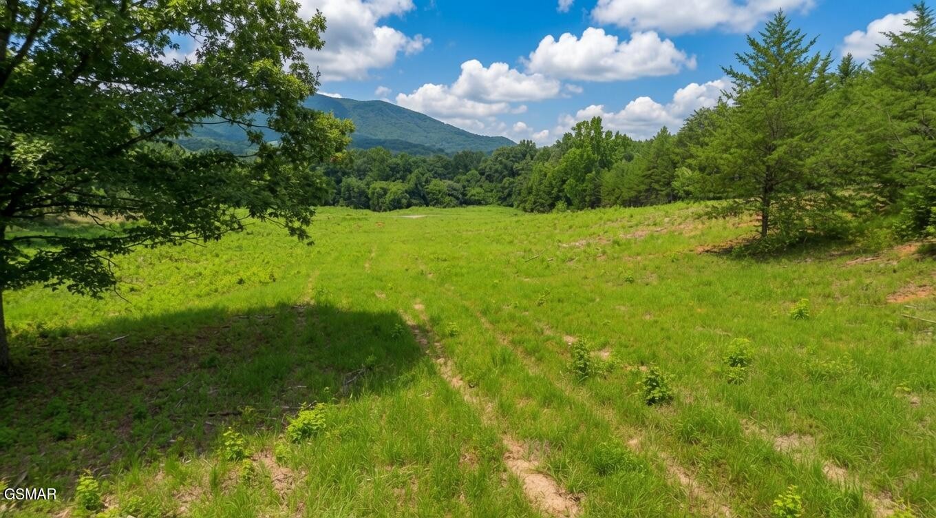 0 Rhyne Camp Road Property Photo 43