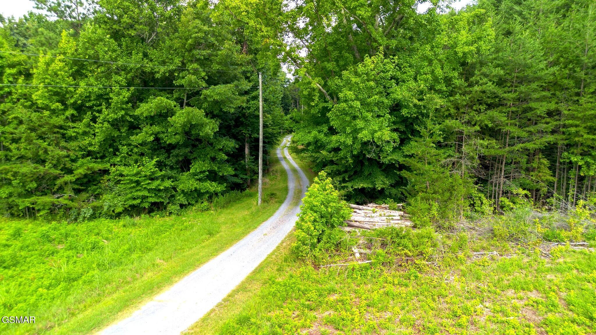 0 Rhyne Camp Road Property Photo 45