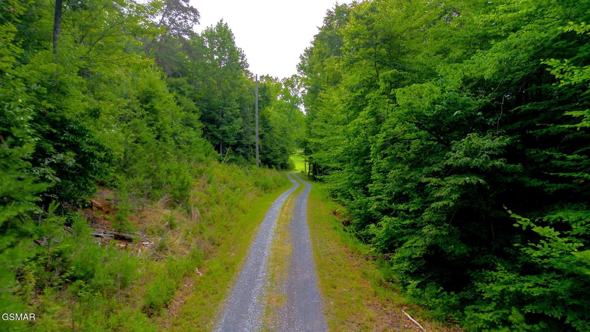0 Rhyne Camp Road Property Photo 48