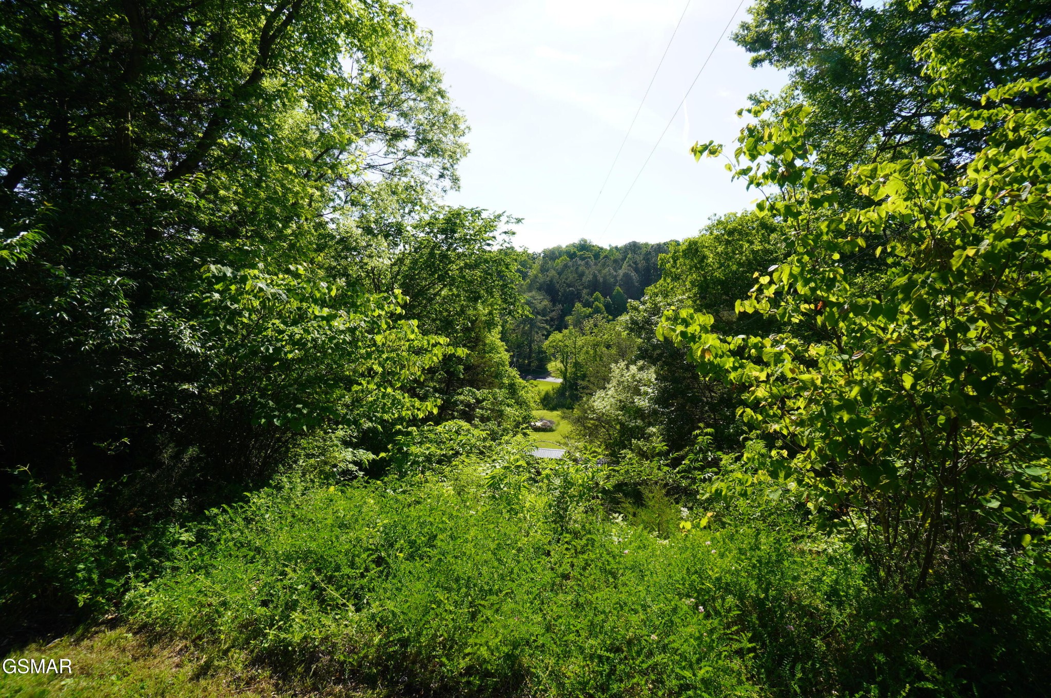 680 Hale Brook Road Property Photo 28