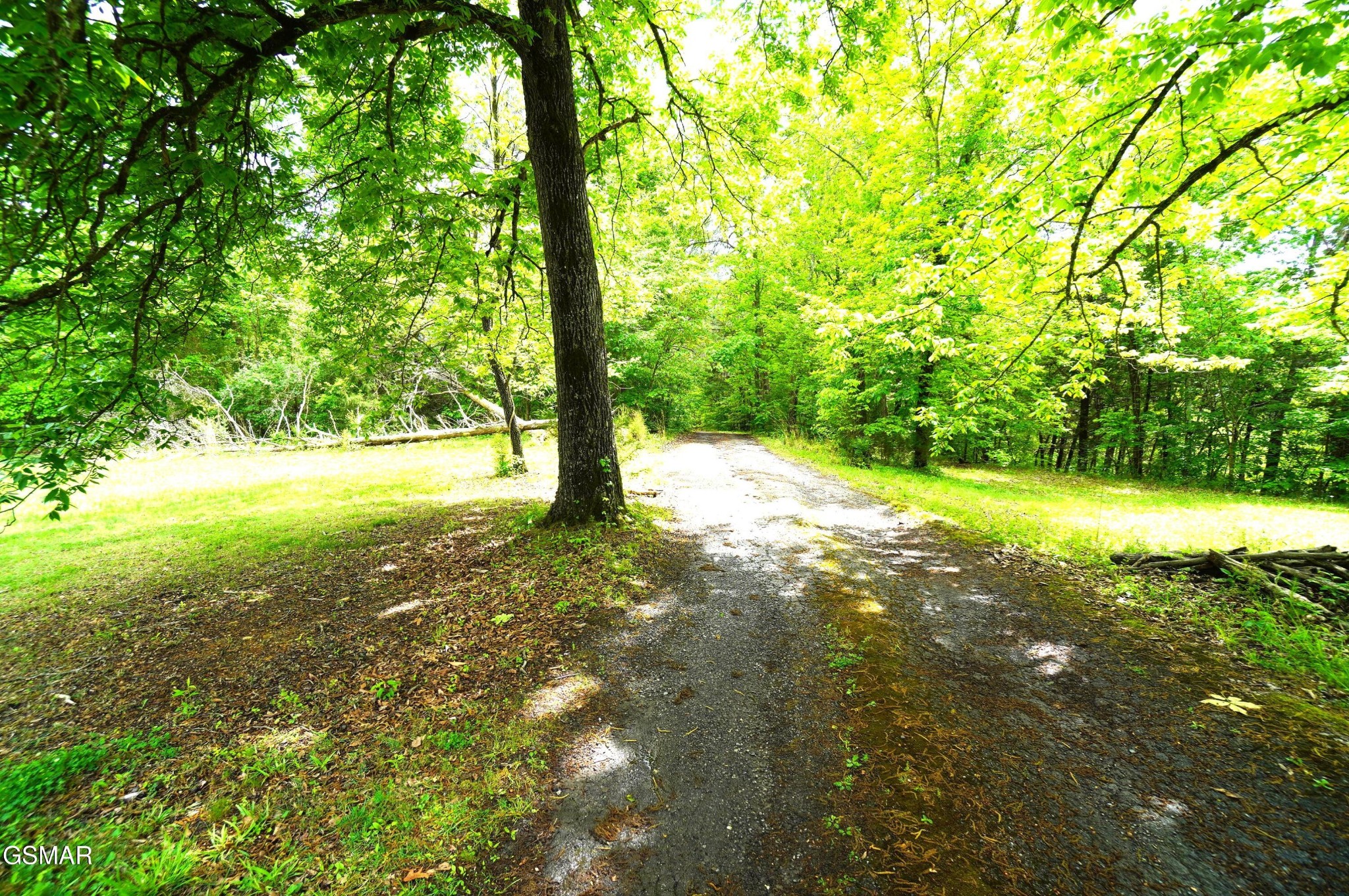 680 Hale Brook Road Property Photo 32