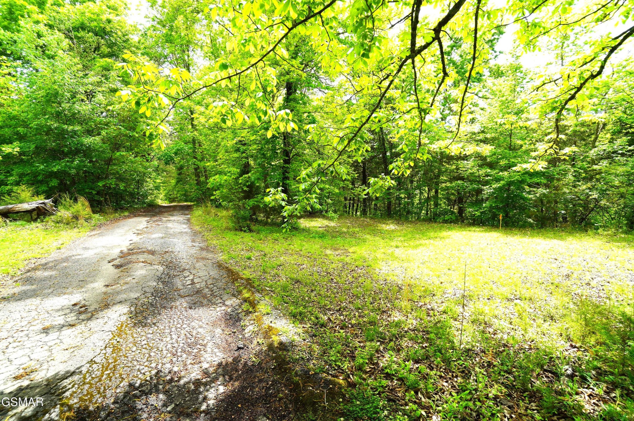 680 Hale Brook Road Property Photo 33