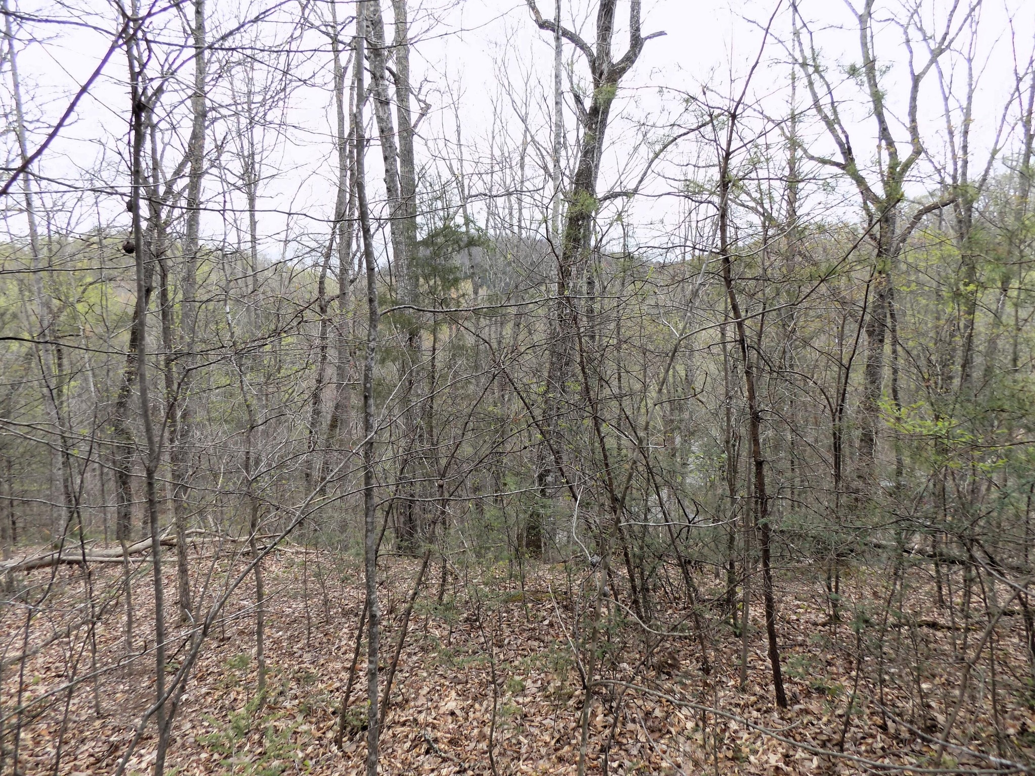 1 Mountain Shadow Way Property Photo 1