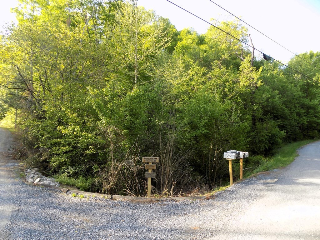 23 Driftwood Road Property Photo 2