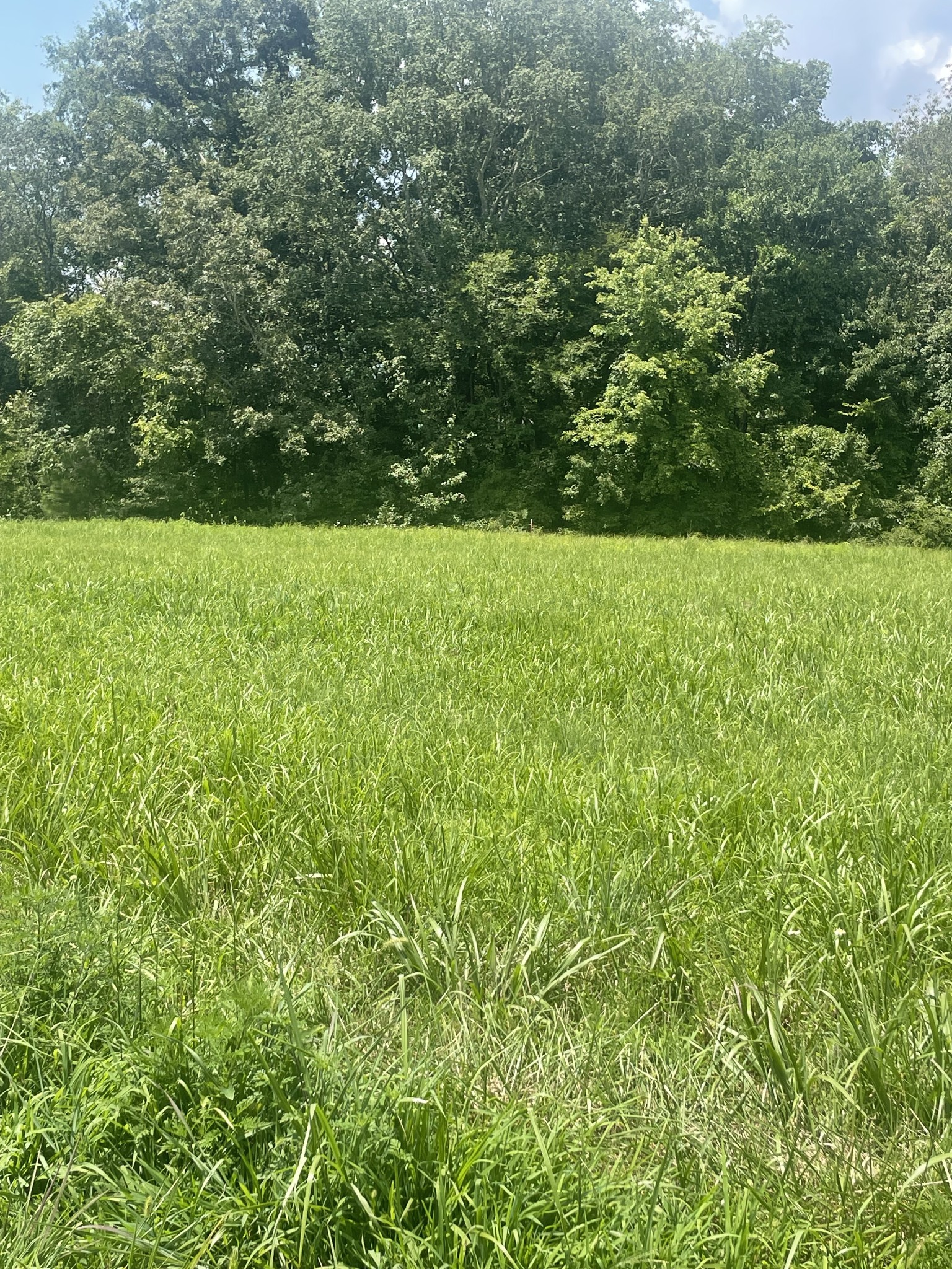 0 Summer Lake Property Photo 1