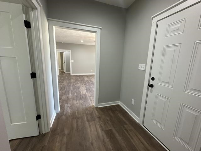 125 Red Fern Cv Property Photo 20