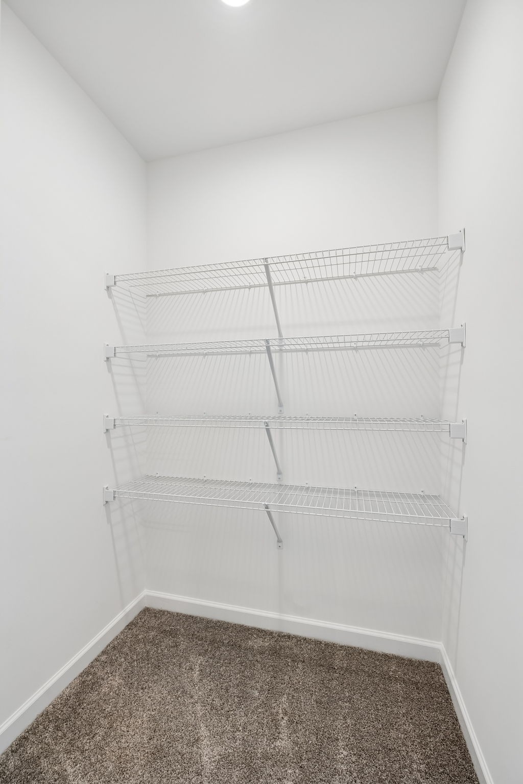 515 Forsberg Ct Property Photo 29