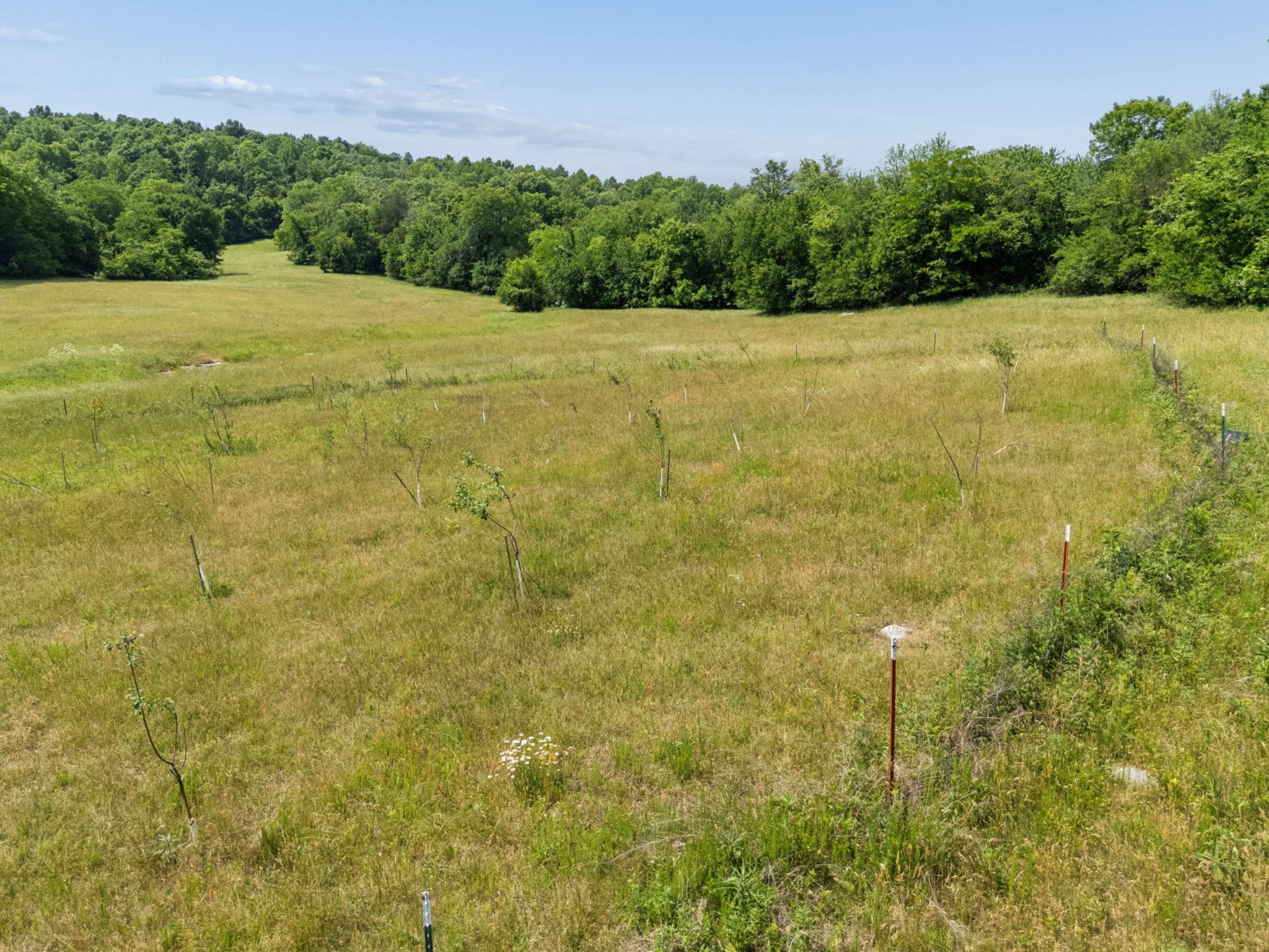 2063 Kennedy Creek Rd Property Photo 78