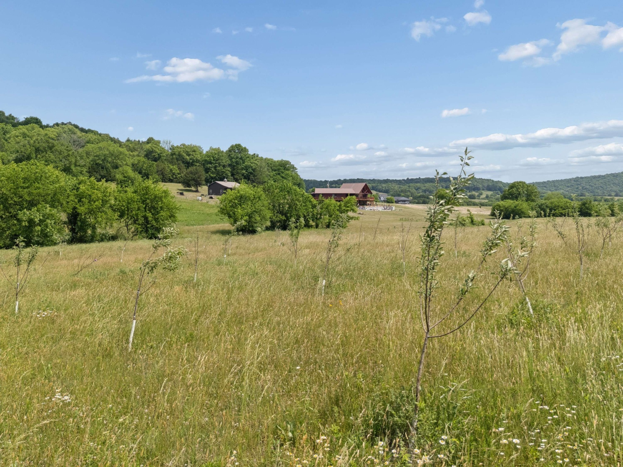 2063 Kennedy Creek Rd Property Photo 80