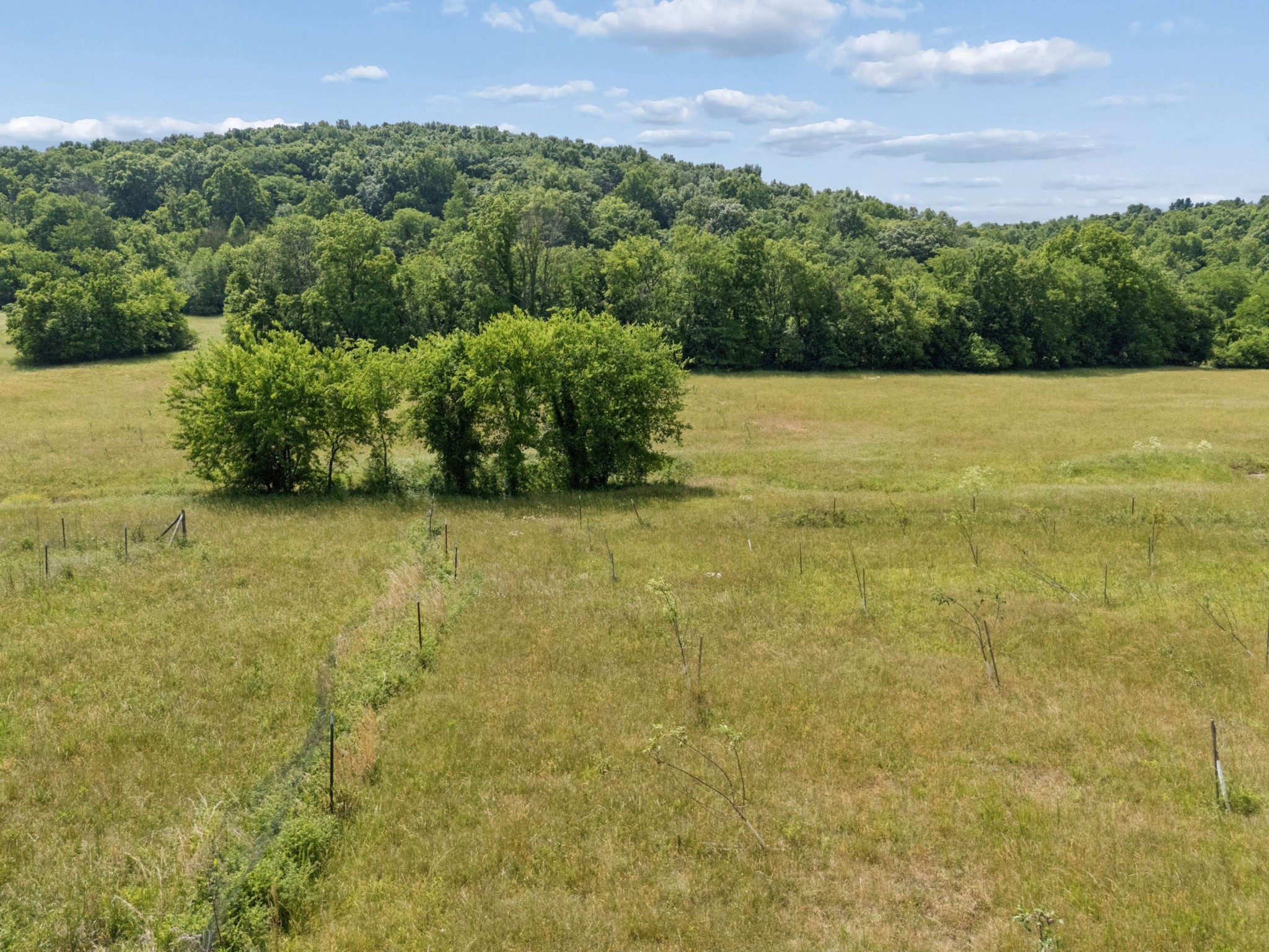 2063 Kennedy Creek Rd Property Photo 81