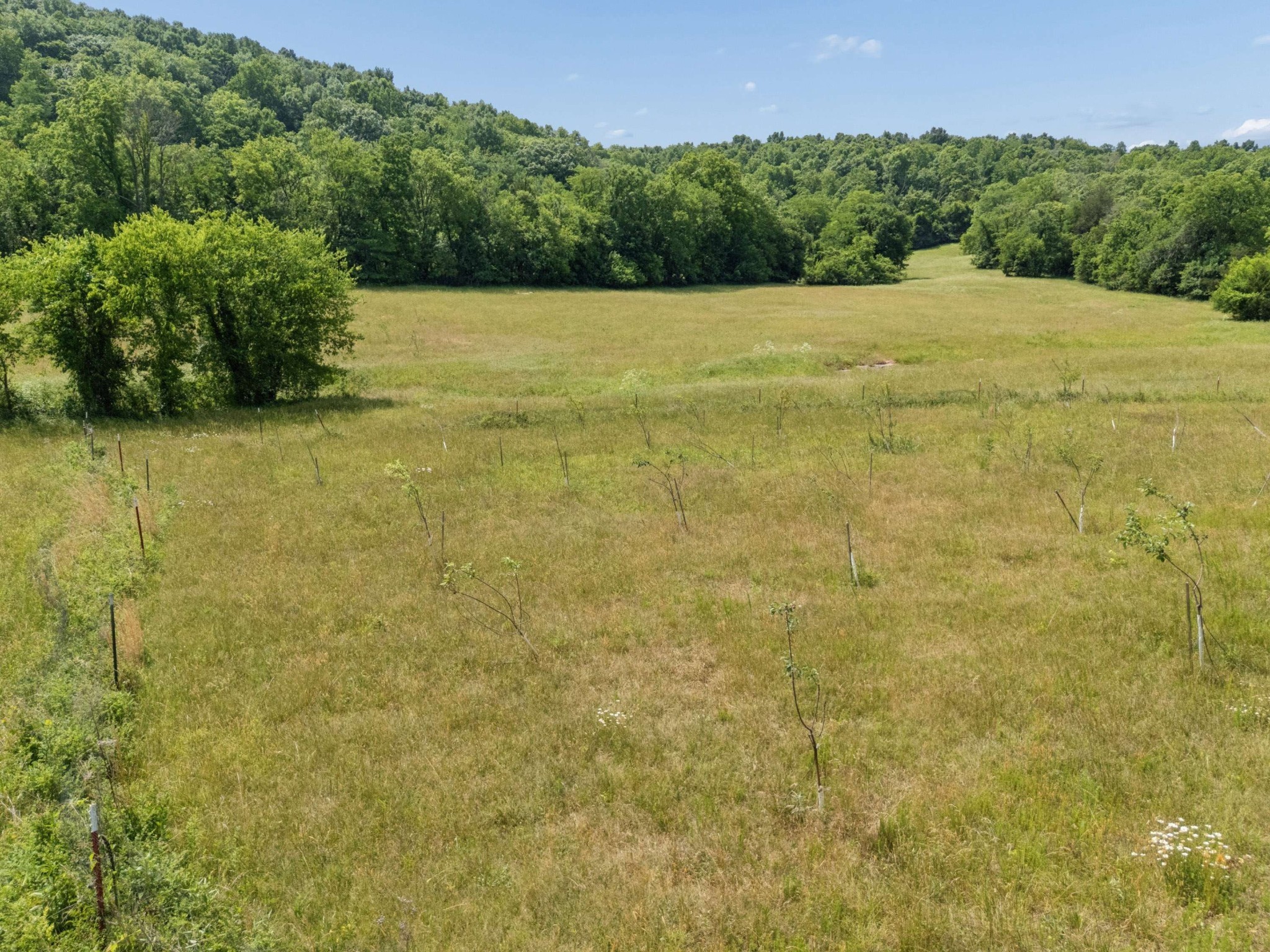 2063 Kennedy Creek Rd Property Photo 82