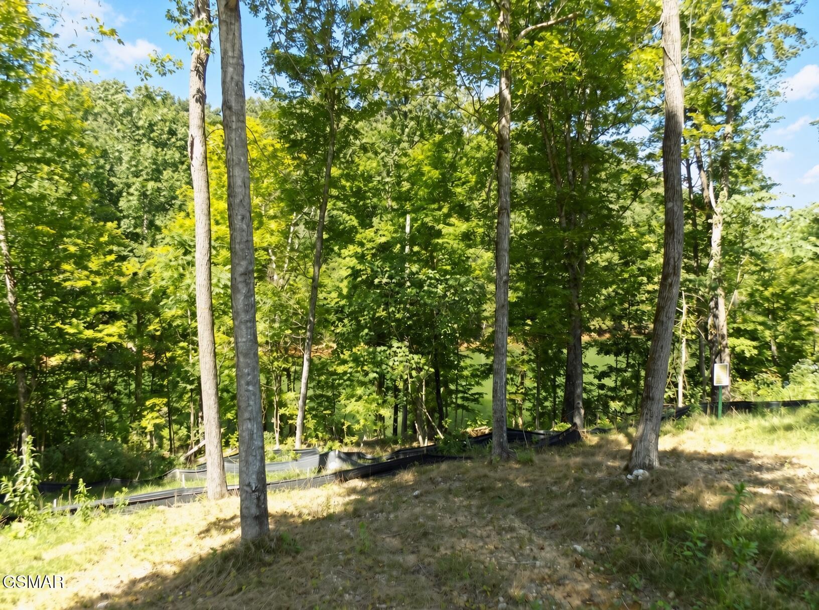 35 Graystone Shoals Property Photo 5