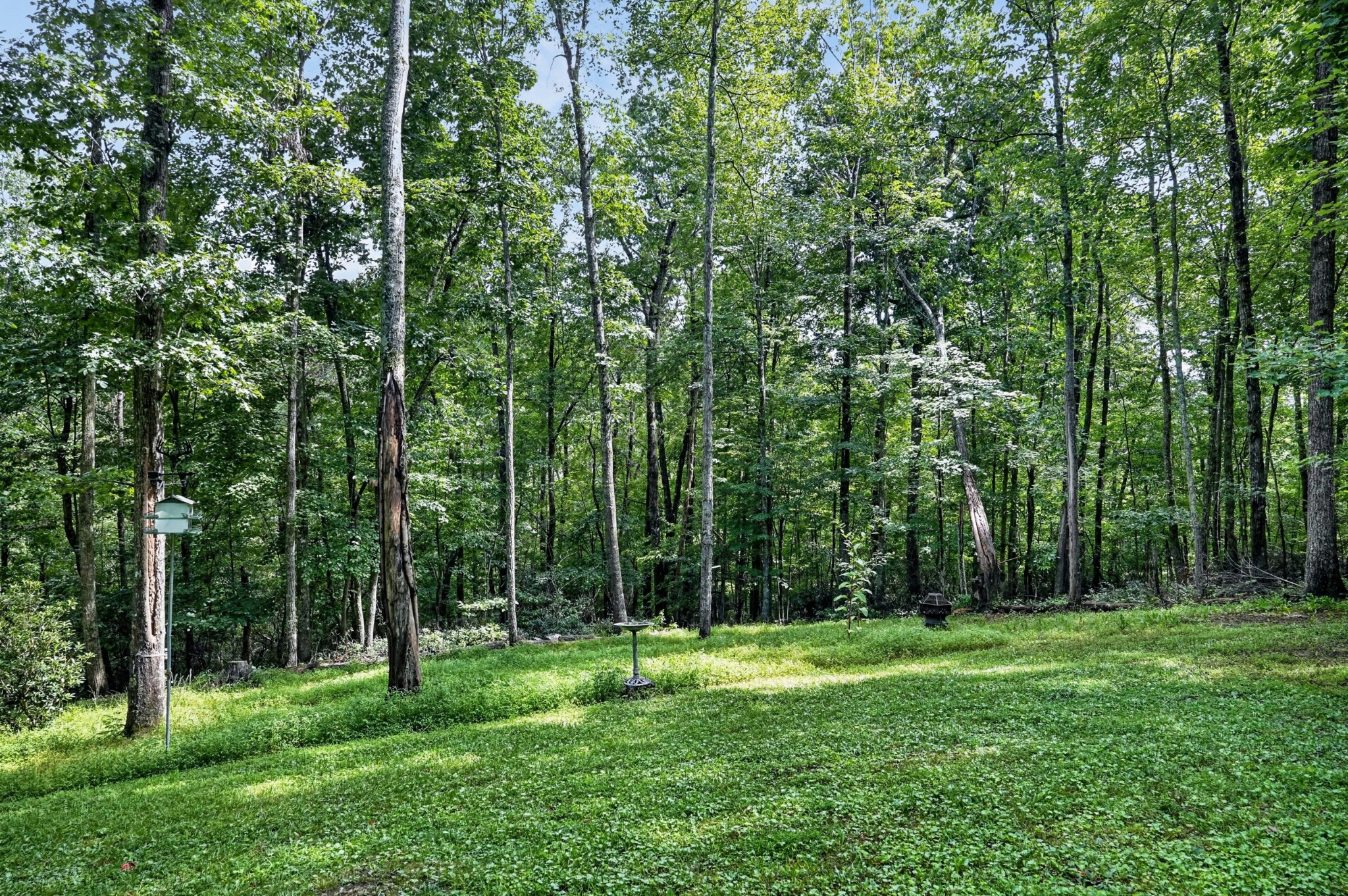 45 Point Pl Property Photo 33