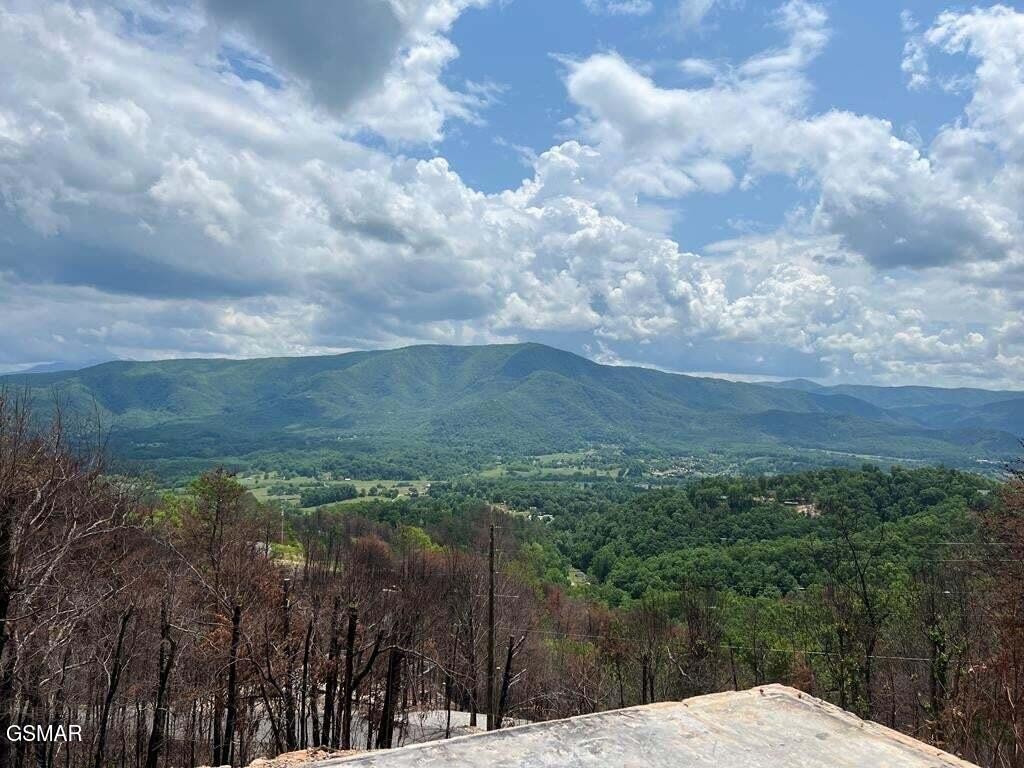 2518 Hatcher Mtn Road Property Photo 1