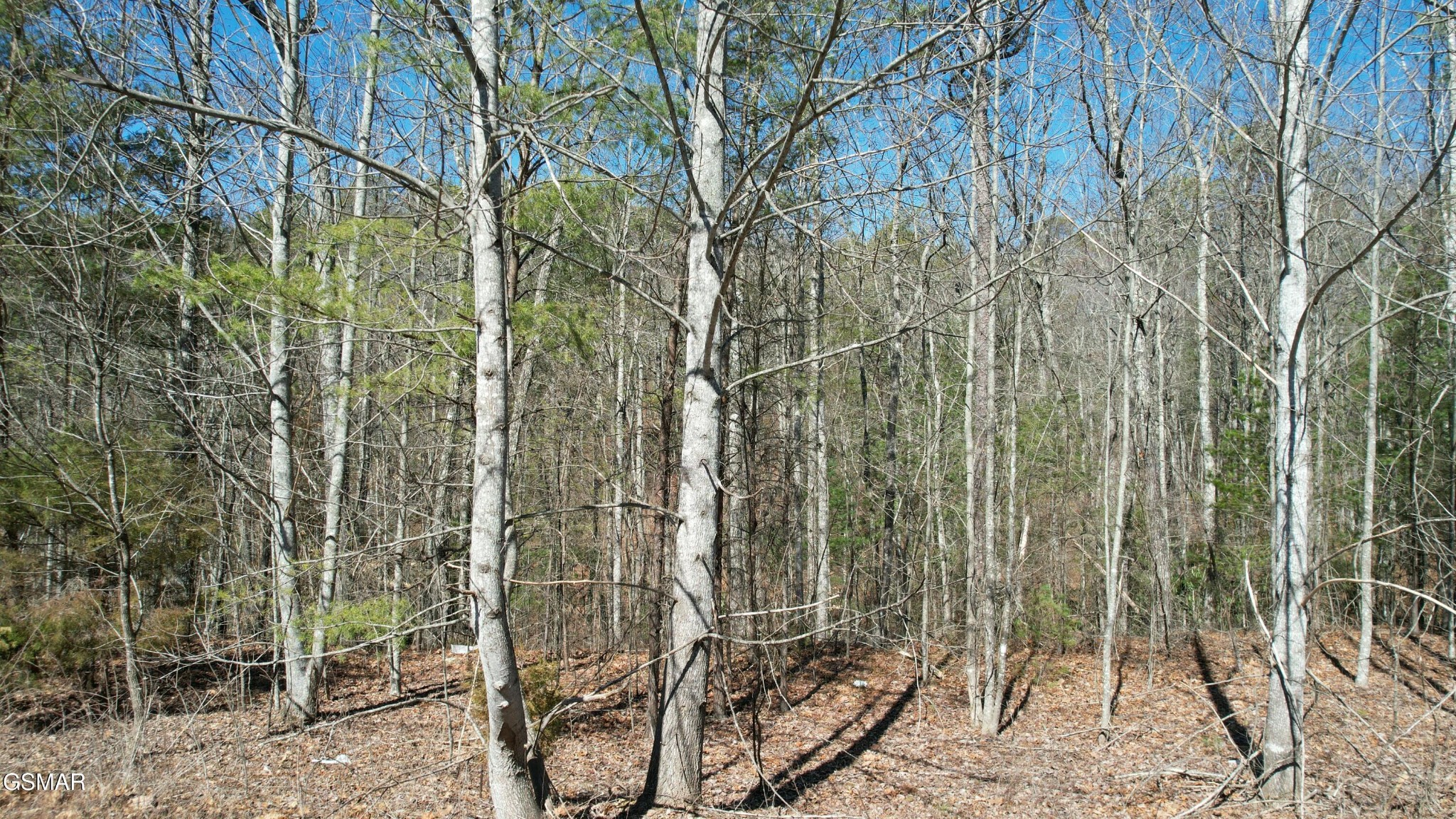 442 Hawken Drive Property Photo 1