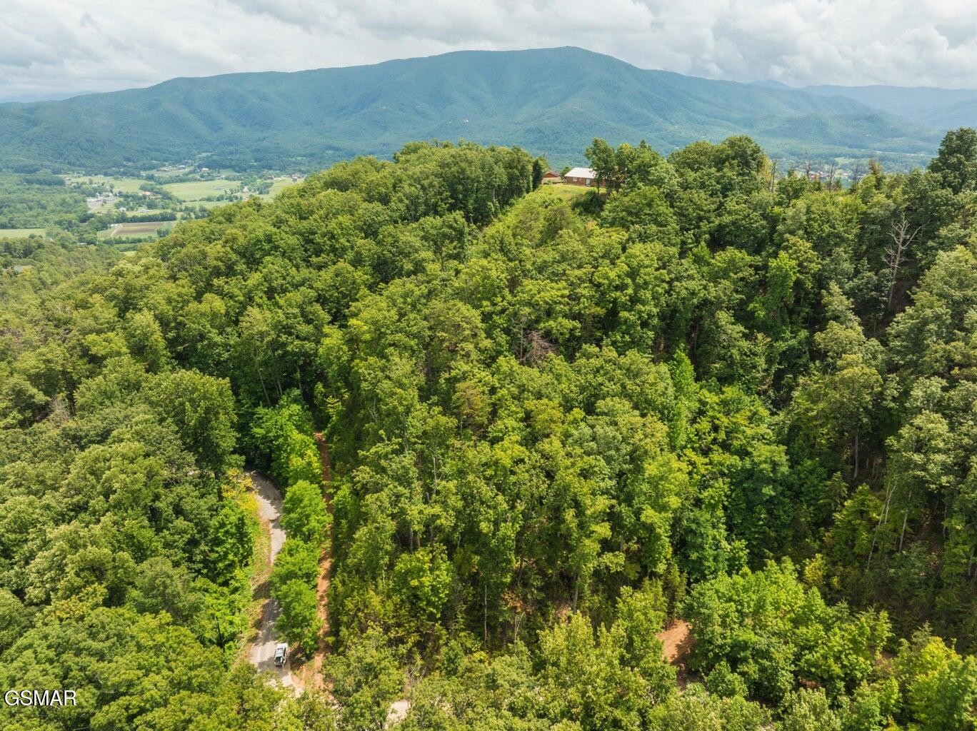 2119 Spurling Road Property Photo 8