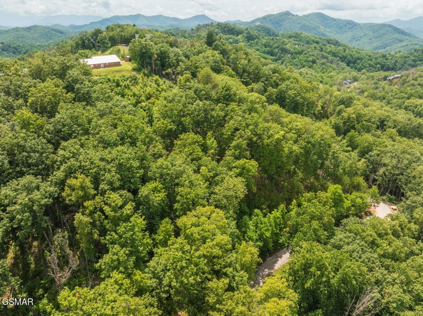 2119 Spurling Road Property Photo 10