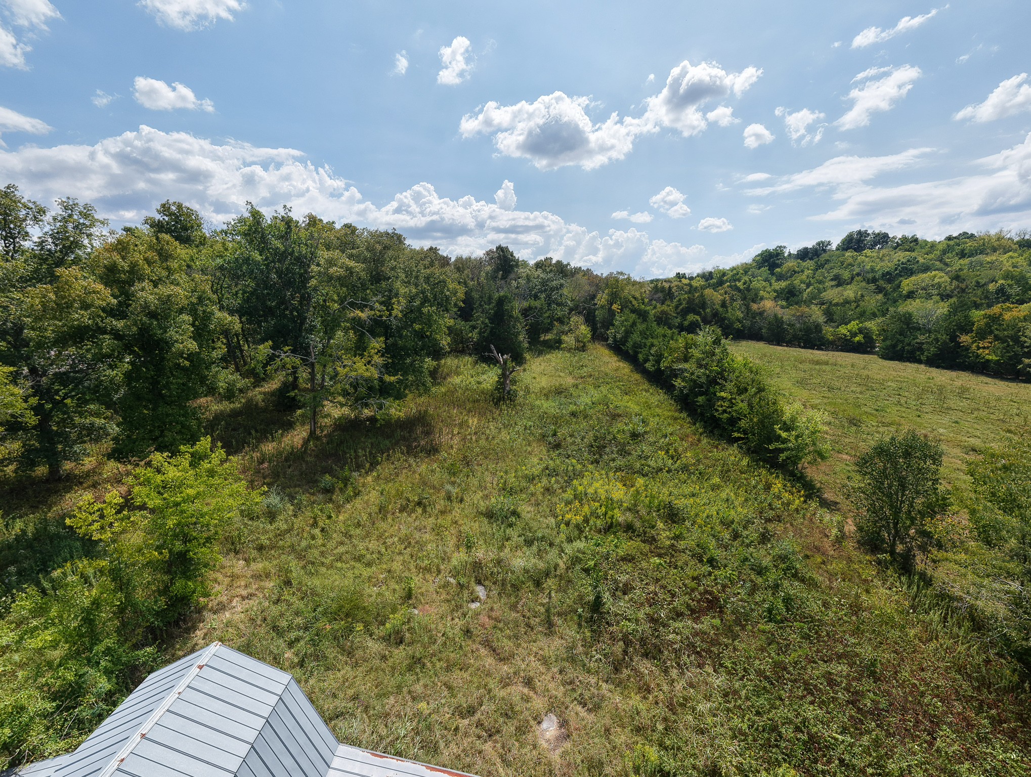 3194 Johnson Ln Property Photo 44