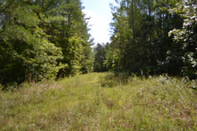 318 Rhodas Way Property Photo 2