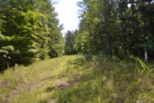 318 Rhodas Way Property Photo 4