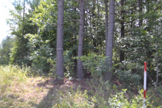 318 Rhodas Way Property Photo 13